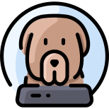 犬 icon