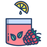 Raspberry Juice icon