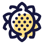 Sonnenblume icon