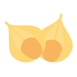 Cape Gooseberry icon