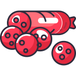 Salami icon