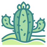 Cactus icon