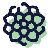 Succulento icon