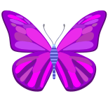 Butterfly icon