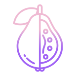 Guava icon