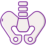 Pelvis icon