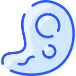 Amoeba icon