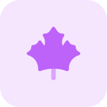 Autumn maple leaf fall used as decorative art of thanksgiving icon