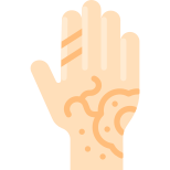 Henna icon
