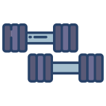 Dumbbell icon