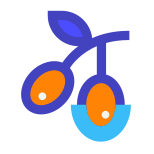 Aceituna icon