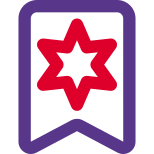 Medium rank homeguard of strip and star uniform badge icon