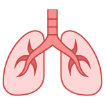 Pulmones icon