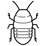 мадагаскарский таракан icon