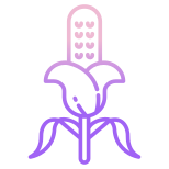 Corn icon