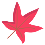 Liquidambar Leaf icon