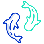 Koi-Fisch icon