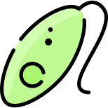 Microorganism icon