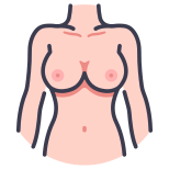 Anatomy icon