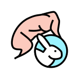 Rabbit Meat icon