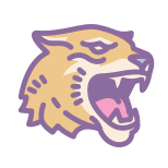 RIT Tiger icon