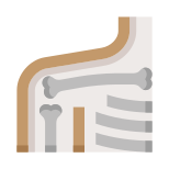 Shoulder blade icon