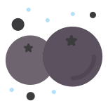 Blueberry icon