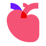 Anatomisches Herz icon
