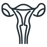 Uterus icon