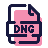 DNG icon