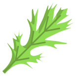 Mizuna Leaf icon
