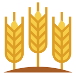 Barley icon