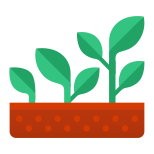 生长植物 icon