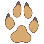 Dog Paw icon