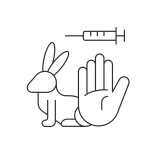 Rabbit Testing icon