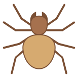 Spider icon