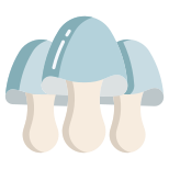 Paddy Straw Mushroom icon