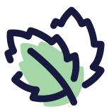 Basil icon