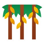 Plantation de cacao icon