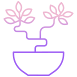 Bonsai icon