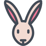 Bunny icon