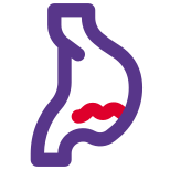 Internal medicine for infection and digestive system icon