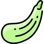 Zucchini icon