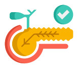 Pancreas icon