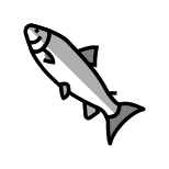 Salmon icon