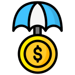 Money Protection icon