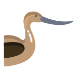 Avocet icon