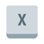Xキー icon