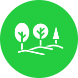 Arboriculture icon