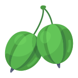 Gooseberries icon